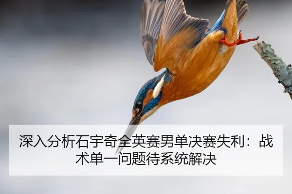 shen-ru-fen-xi-shi-yu-qi-quan-ying-sai-nan-dan-jue-sai-shi-li-zhan-shu-dan-yi-wen-ti-dai-xi-tong-jie-jue-3-979.jpg